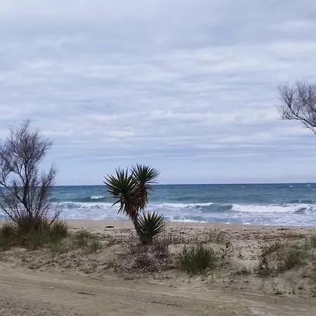 Blue Flag Dom wakacyjny *