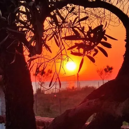 Blue Flag Néa Meságkala