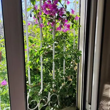 Blue Flag * Néa Meságkala