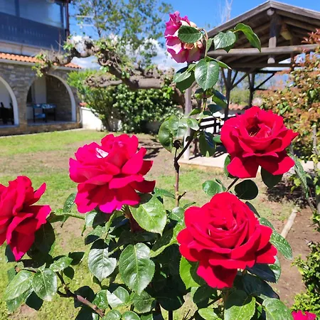 Blue Flag Dom wakacyjny