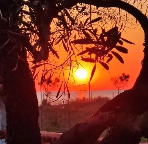 Blue Flag Néa Meságkala