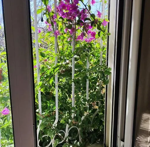 Blue Flag * Néa Meságkala