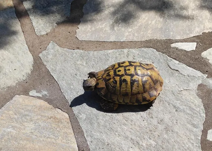 Blue Flag Σπίτι διακοπών *