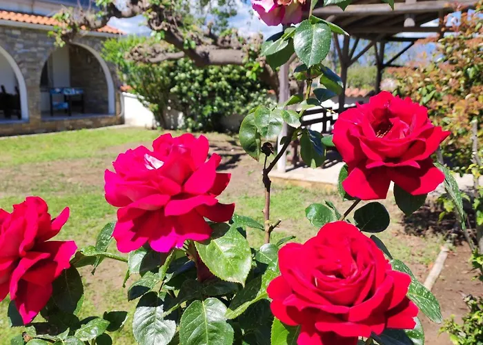 Blue Flag Σπίτι διακοπών